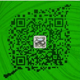 the qr code